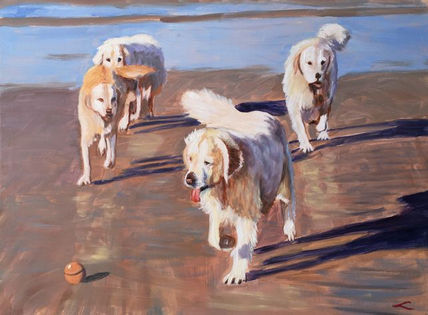 Dogs
