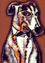 Galgo