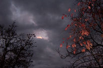 Despues de la tormenta