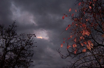 Despues de la tormenta