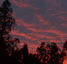 rojo atardecer