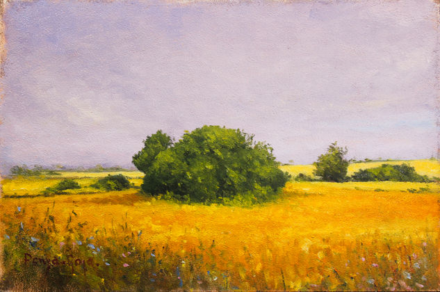 Campo amarillo Óleo Tabla Paisaje