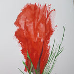 Flores thumbnail 1