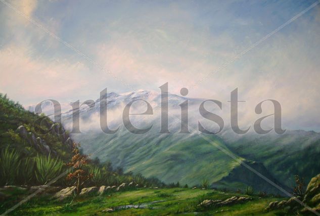 Xistral Oil Canvas Landscaping