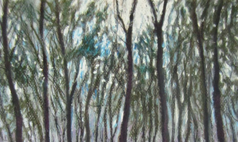 Arboles