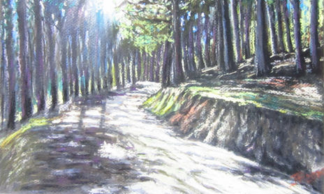 Paisaje