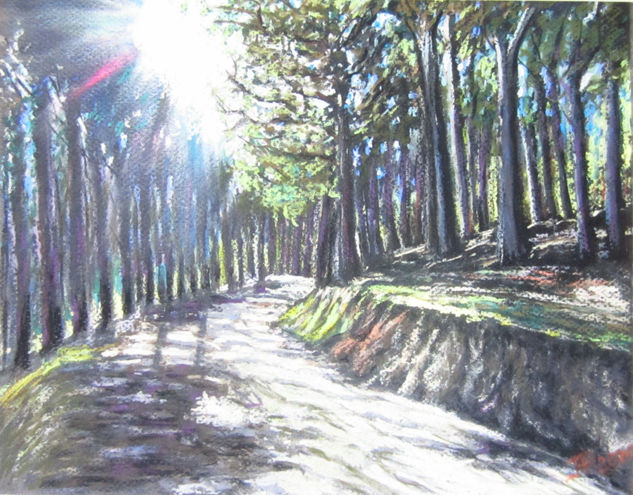 Contraluz en el monte -Cercedilla- Pastel Paper Landscaping