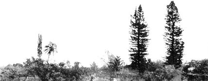 Melancolía IV