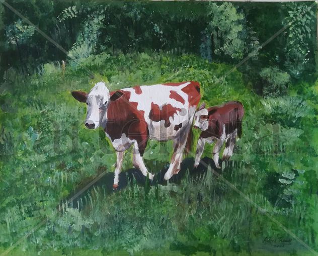 Vacas (Cows)