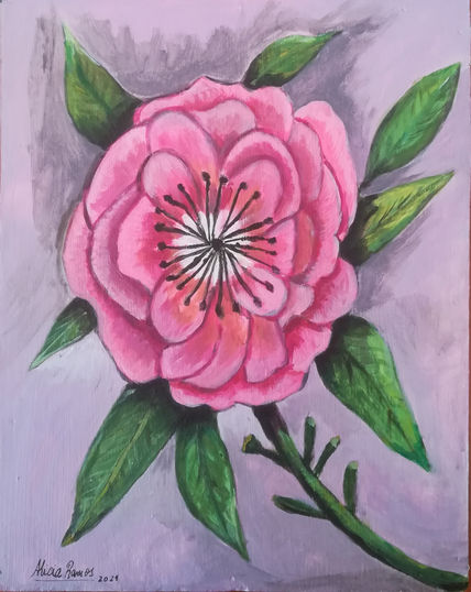 Flor rosa