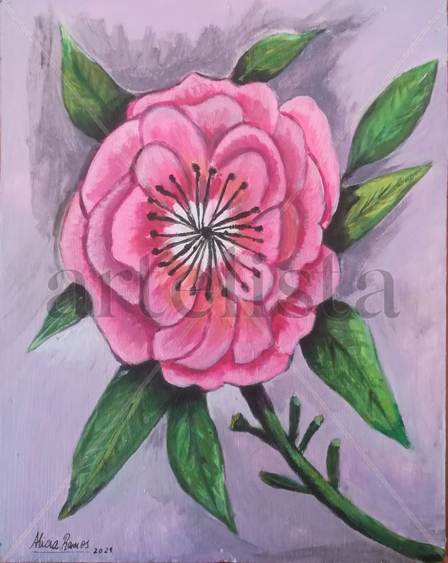FLOR ROSA