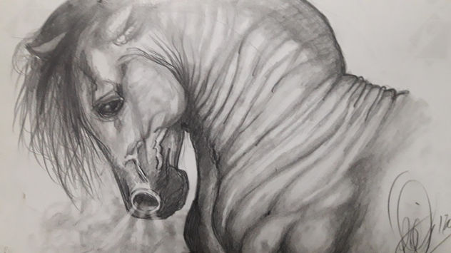 un caballo