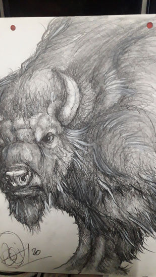 la mirada del bisonte Charcoal