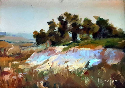 Paisaje