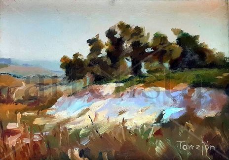 Paisaje