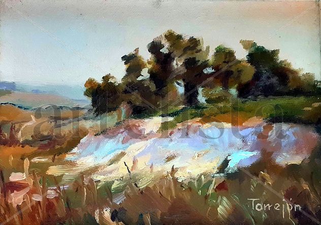 PAISAJE