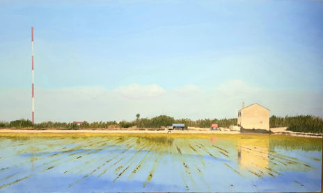 Albufera y el Saler