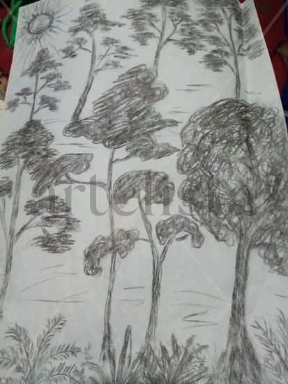 arboles Graphite