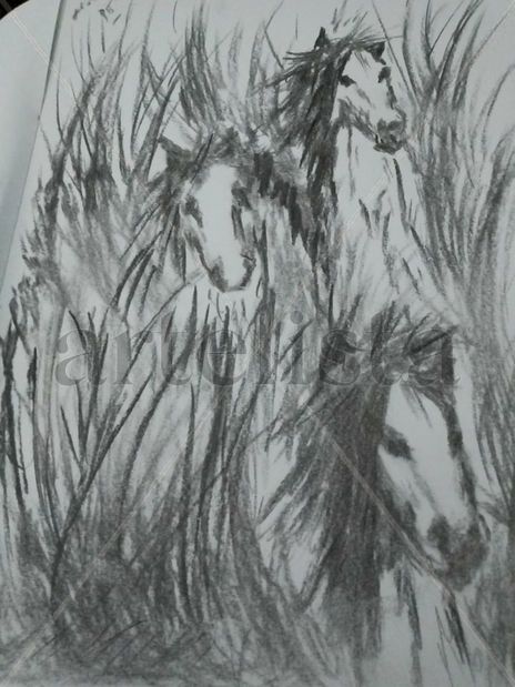 Caballos salvajes