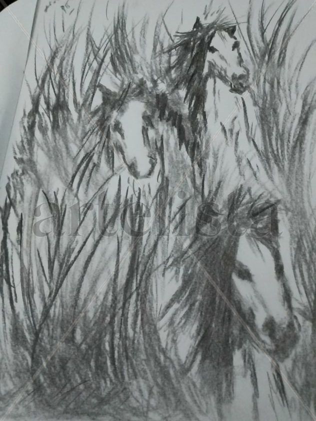 caballos salvajes