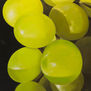 Uvas #8