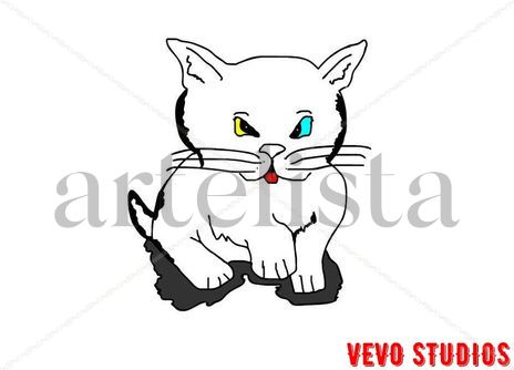Cat heterocromia
