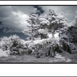 Infra-Red thumbnail 2