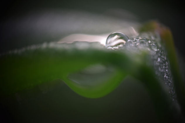 CASCADA SURREAL
