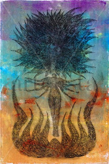 Transmigration