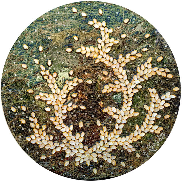 Brotes emergidos 7