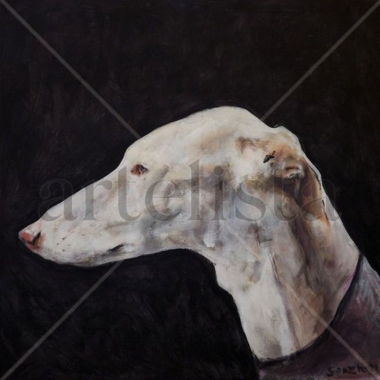 De perfil Acrylic Canvas Animals