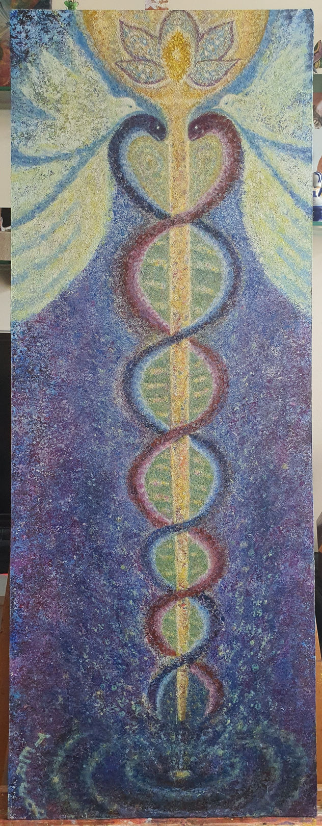 "Caduceo Sanador"