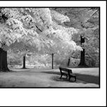 Infra-Red thumbnail 1