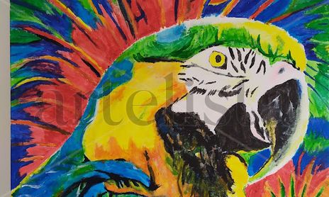 Serie Gaia