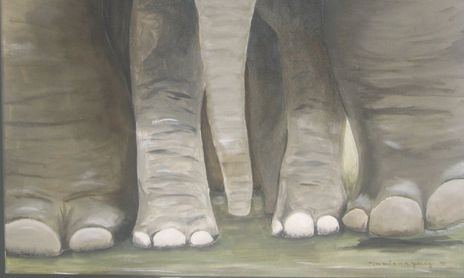 ANIMALES