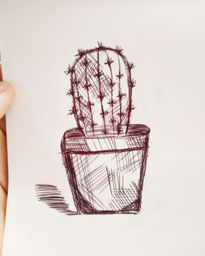 Cactus