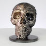Calavera 101-21