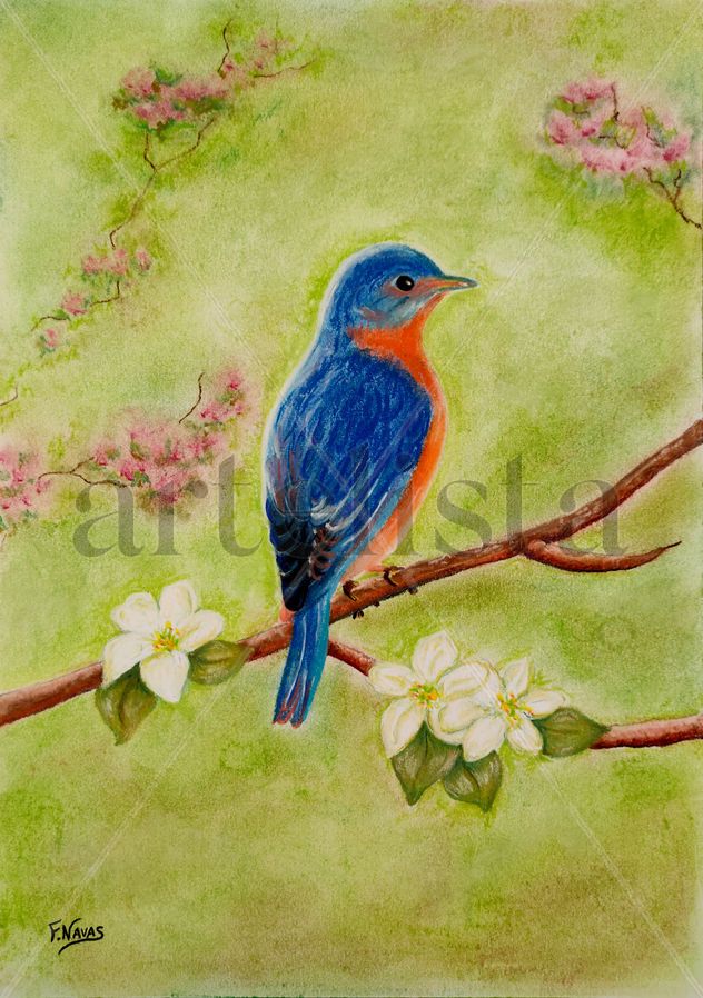 Prunus Dulcis