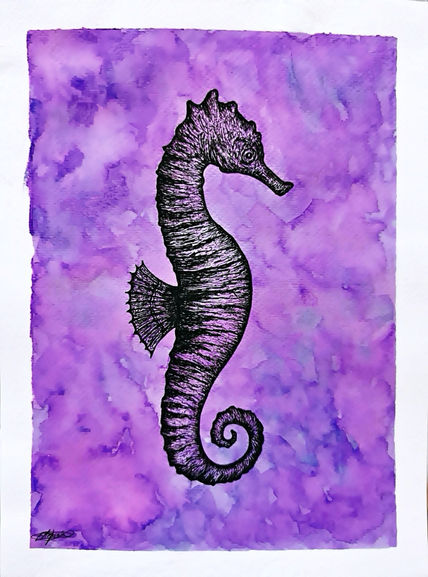 Caballito de mar