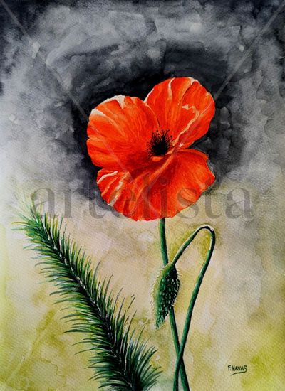 Amapola Watercolour Paper Floral Painting