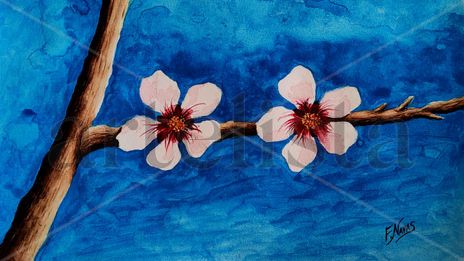 Flores