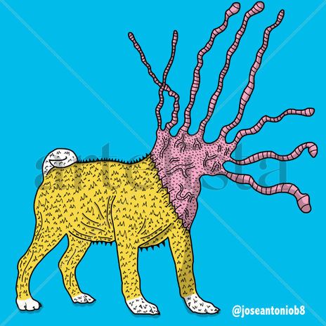 Perro sin oreja