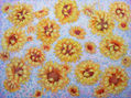 Anastasia Woron: "Girasoles Resplandecientes" - Óleo Original (80x60 cm.) 2021