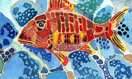 Peces de Colores