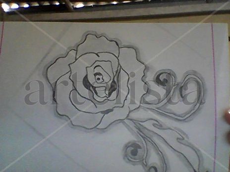 Rosa