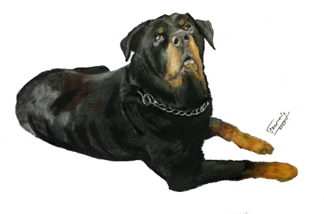 Rott Pastel Papel Animales