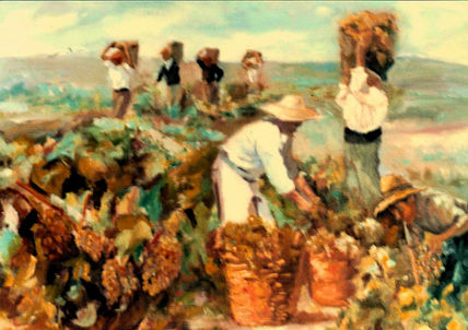 Vendimia