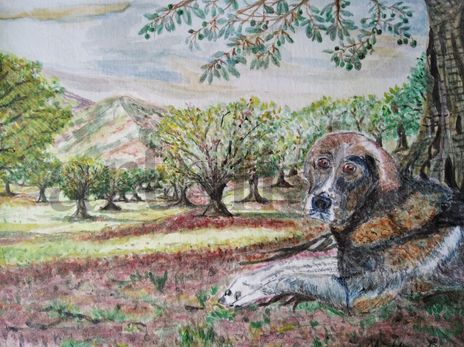 "El guardián del...