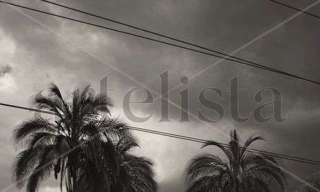 Blanco y Negro