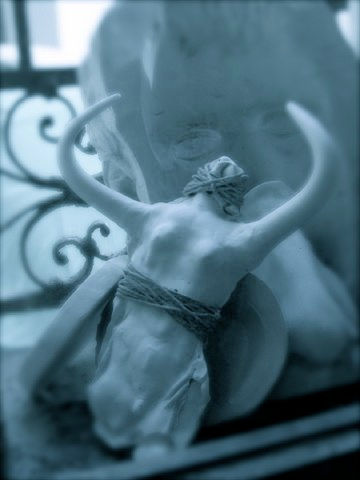 Toro-Donna